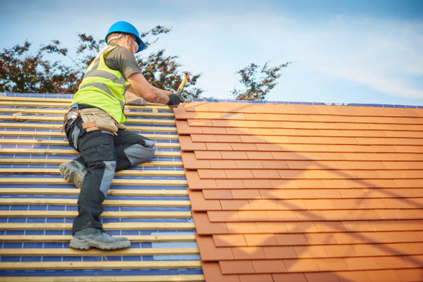 Best Sheet Metal Roofing  in Frankfort Square, IL